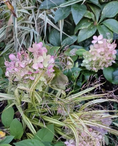 Winter gardening.